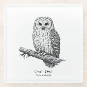 Ural Owl Glasuntersetzer (Vorderseite)