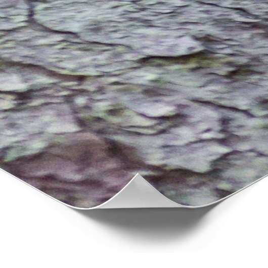 Ural Owl Poster (Ecke)