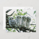 Uralhütten. Ikeda-machi, Hokkaido, Japan Postkarte (Vorne/Hinten)