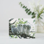 Uralhütten. Ikeda-machi, Hokkaido, Japan Postkarte (Stehend Vorderseite)