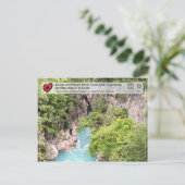 Uralte Buchenwälder und Urwald - Fluss Gashi Postkarte (Stehend Vorderseite)