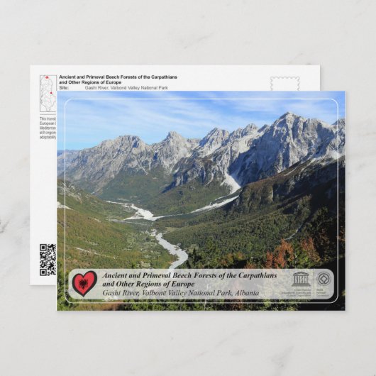 Uralte Buchenwälder und Urwald - Fluss Gashi Postkarte (Vorne/Hinten)
