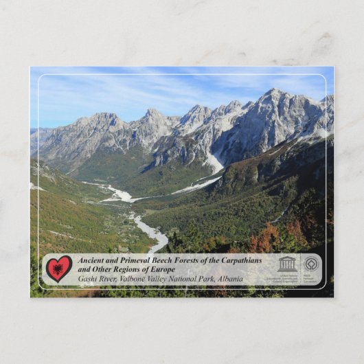 Uralte Buchenwälder und Urwald - Fluss Gashi Postkarte (Vorderseite)