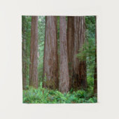 Uralte Redwoods ragen empor Wandteppich (Vorderseite)