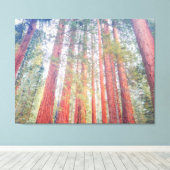 Uralte Sequoien Leinwanddruck (Insitu (Holzboden))