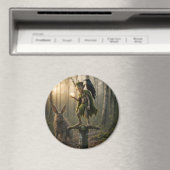 Uralter Druiden-Barde Fae Pixie mit Perle Magnet (In Situ (Geschirrspüler))