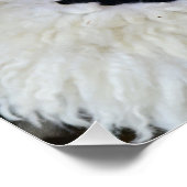 uralter romanischer Dakan-Maske Poster (Ecke)