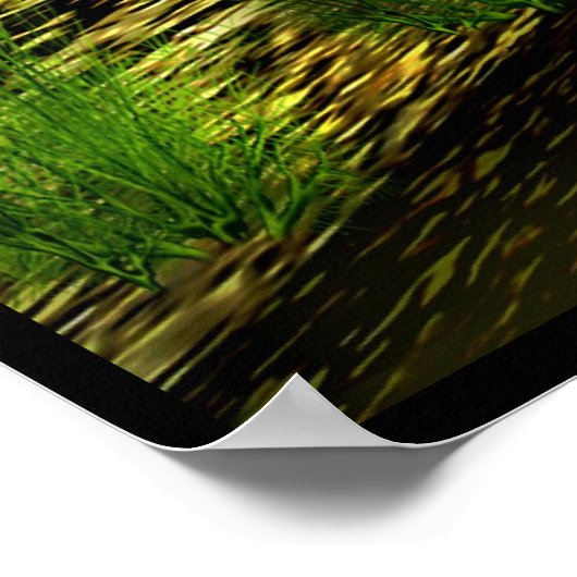 uralter Sumpf Poster (Ecke)