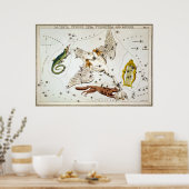 Urania-Spiegel - Lacerta, Cygnus, Lyra, Vulpecula Poster (Küche)