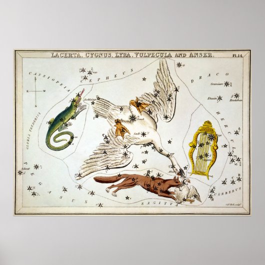 Urania-Spiegel - Lacerta, Cygnus, Lyra, Vulpecula Poster (Vorne)