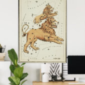 Urania-Spiegel - Leo Major und Leo Minor Poster (Heimbüro)