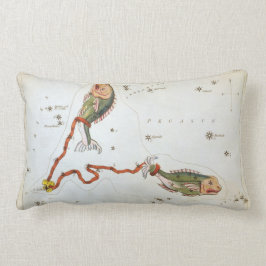 Urania-Spiegel, Vintage Piszenskonstellation Lendenkissen