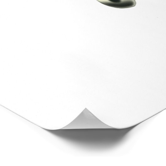 Urania Sunset Moth Poster (Ecke)