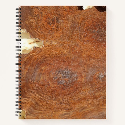 Urban Decay Theme - Rusty Metal Spiral Notebook Notizblock (Vorderseite)