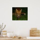 Urban Fox Poster (Küche)
