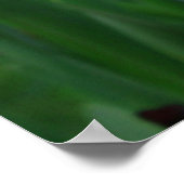 Urban Garden London Deco: Smithfield Floral Poster (Ecke)