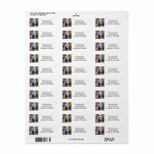 Urban Graffiti Street Art Pitbull (Vorne)