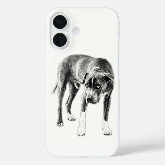 Urban Ink Dog - Pitbuli Mix Blick Case-Mate iPhone Hülle (Rückseite)