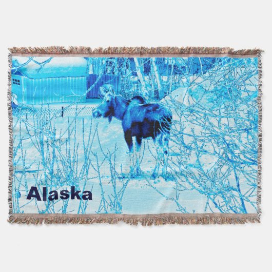 Urban Moose Decke (Vorderseite)