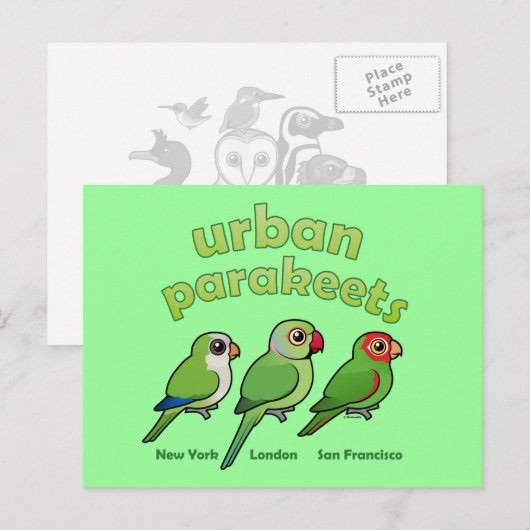Urban Parakeets Postkarte (Vorne/Hinten)