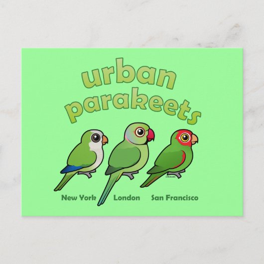 Urban Parakeets Postkarte (Vorderseite)