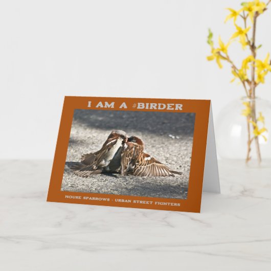 Urban Street Fighters House Sparrows Vogelbeobacht Karte (Gelbe Blume)