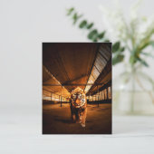 Urban Tiger Postkarte (Stehend Vorderseite)