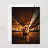 Urban Tiger Postkarte (Vorne/Hinten)