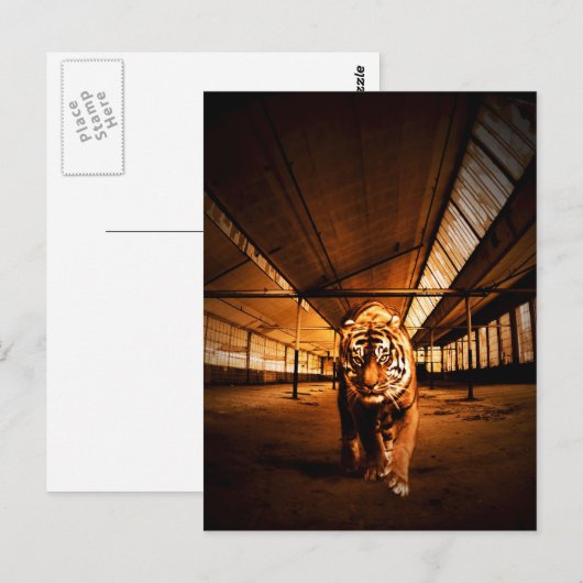 Urban Tiger Postkarte (Vorne/Hinten)