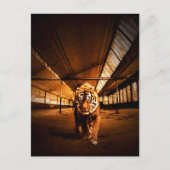 Urban Tiger Postkarte (Vorderseite)