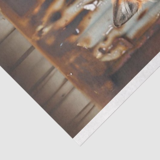 Urban Trio Fox Bruderschaft Dekoupage Seidenpapier (Ausschnitt)