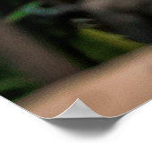 Urbaner Dschungel. Wintergarten mit Pflanze, Blume Poster (Ecke)