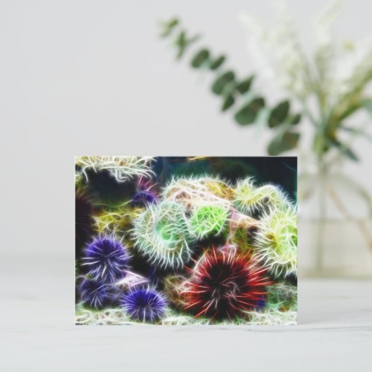 Urchin Bed Postkarte (Stehend Vorderseite)