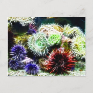 Urchin Bed Postkarte