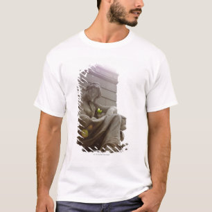 Ureinwohner-nationales Museums-Statue T-Shirt