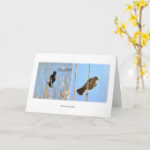 Ureinwohner Nevadas. Vögel. Fotografie von J. Halk Karte (Gelbe Blume)