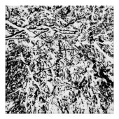 Urharmonie Poster (Vorderseite)