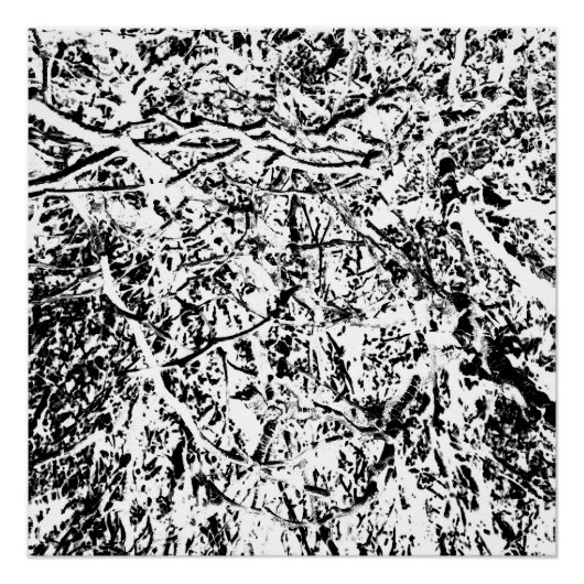 Urharmonie Poster (Vorderseite)