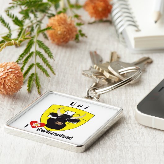 Uri - Schweiz - Suisse - Svizzera Schlüsselger Schlüsselanhänger (Seite)