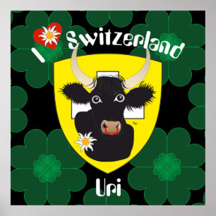 Uri Schweiz Suisse Svizzera Svizra Poster