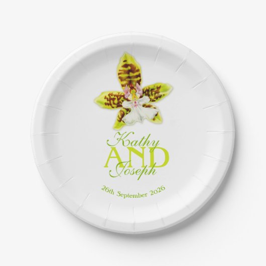 Urinfarbenplatte Pappteller (Vorderseite)