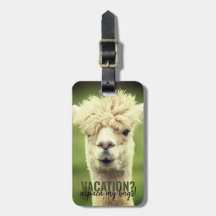 Urlaub Alpaca My Bags Green