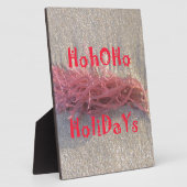 Urlaub aus der Beach Collection. Fotoplatte (Seite)