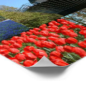 Urlaub in Holland Poster (Ecke)