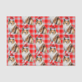 Urlaub Kariert mit Rough Collie Dog Weihnachten Seidenpapier (Vorderseite)