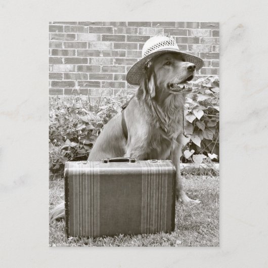 Urlaub Postkarte (Vorderseite)