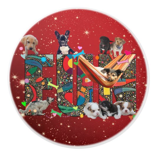 Urlaub Spaß (niedliche Hunde) Keramikknauf (Vorderseite)