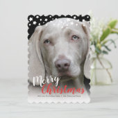 Urlaubsfotokarte | Doggie-Liebe Feiertagskarte (Stehend Vorderseite)