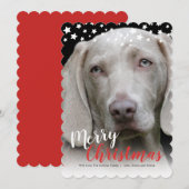 Urlaubsfotokarte | Doggie-Liebe Feiertagskarte (Vorne/Hinten)