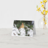 Urlaubskarte mit Kardinal Karte (Gelbe Blume)